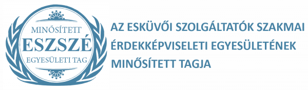 Essze logo